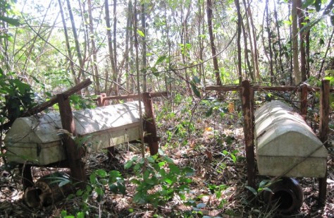 Tục táng treo của người Gié Triêng không còn nhưng người dân không dám đặt chân tới đây vì sợ bị ma bắt.