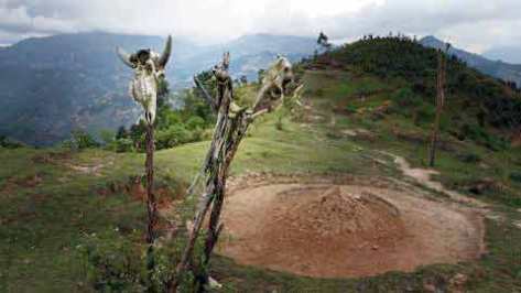 Đầu trâu được cắm trên cọc chôn trước mộ của người chết, phong tục của người La Chí.