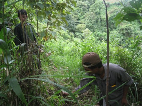 Lần theo vết thú. Ảnh: Tiểu Phong/PHÍA TRƯỚC.