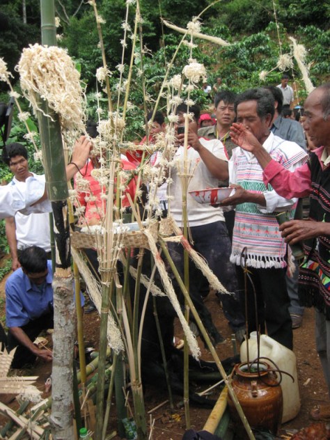 Lễ mừng lúa sinh trưởng của người Mạ.