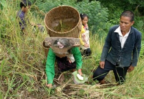 Bà chủ nhà tự tay trải lễ và cầu khấn, căn dặn hồn lúa.