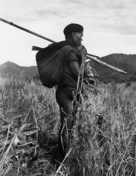 Gọi dẫn hồn lúa về trong nghi lễ nông nghiệp. Ảnh Georges Condominas.