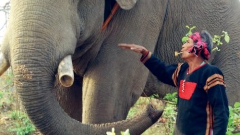 Voi là biểu tưởng sức mạnh trong đời sống của người M'nông.