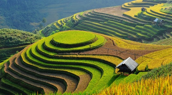 Dân ca dân nhạc VN – Dân ca H’Mông/Miêu