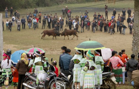 Các dân tộc Mông, Mường,Tày… trong những bộ trang phục truyền thống sặc sỡ màu sắc…về xem hội thi.