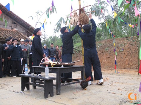 Ngô và lúa, tượng trưng cho mong muốn mùa màng bội thu.