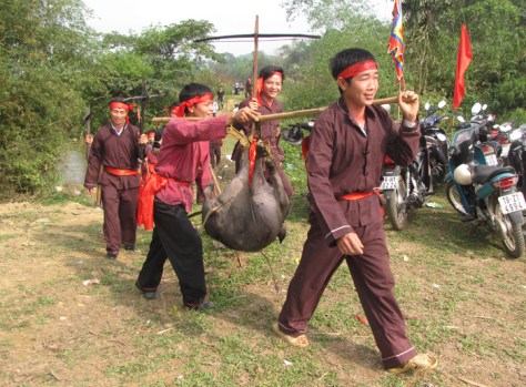 Thành quả sau khi vào rừng săn.