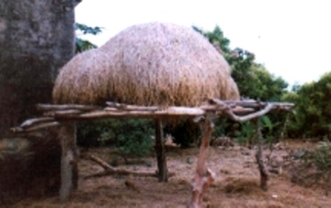 Người Ngái giữ các cây rơm trên dàn cao để tránh mối mục và gia súc phá hoại. (ảnh KT)