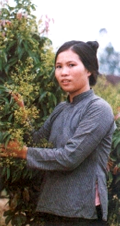 Văn hoá vật chất của người Ngái ở vùng trung du đã cải biến rất nhiều. Nhưng người phụ nữ vẫn giữ được chiếc áo kiểu cổ cao, xẻ nách truyền thống.