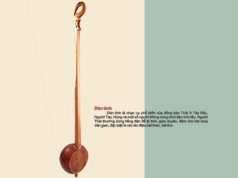 Đàn Tính của dân tộc Nùng/Tày.