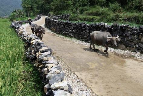 Đường vào Phia Chang, Đỏ Cọ tuyệt đẹp với hai hàng đá xếp thật khéo nhằm bảo vệ rau màu khỏi sự phá phách của gia súc.