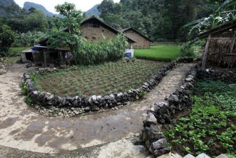 Từng con ngõ, mỗi vườn nhà của người dân Phia Chang, Đỏ Cọ đều hiện hữu những hàng rào đá xếp.