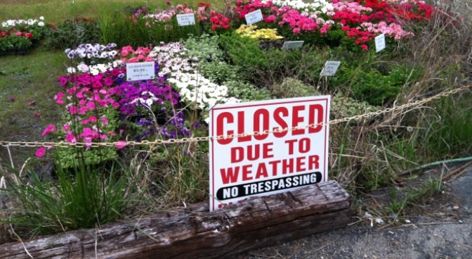 Đóng cửa vì thời tiết – Closed due to weather