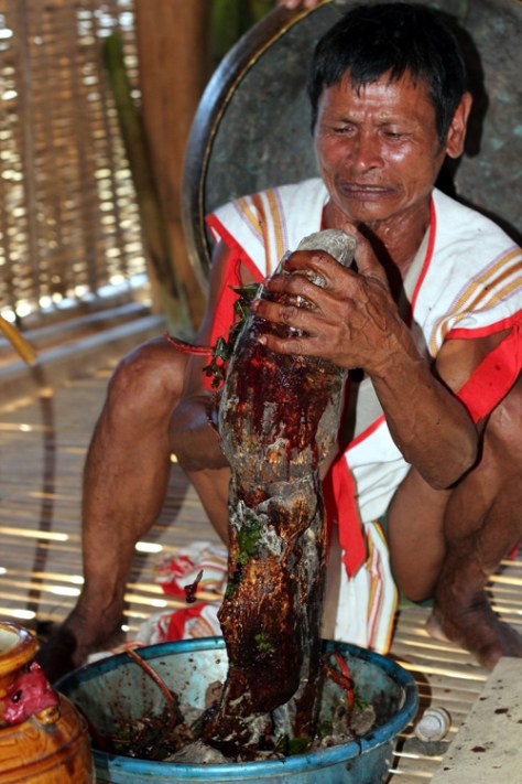 Già làng A Reng “tắm” huyết cho Yang Plút - Ảnh Phạm Anh.