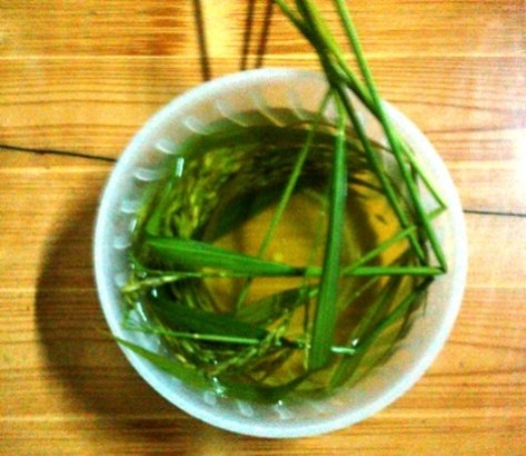 Lễ vật dùng để chuẩn bị cho lễ cúng không thể thiếu một bát nước đã được đun chung với ba bông lúa non.