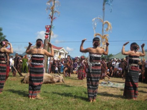 Nếu không được mùa, người Tà Ôi sẽ tổ chức lễ hội đâm trâu.