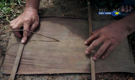 trongdat_Trống Đất