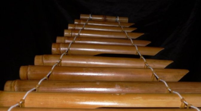 Nhạc cụ cổ truyền VN – Đàn T’rưng