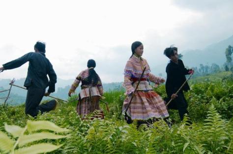 gaytien_Vàng A Phử3