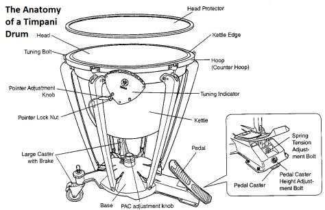 Anatomy of a Timpani Drum