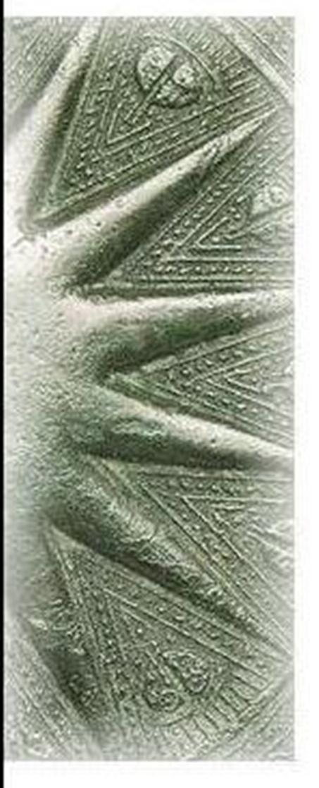 trongdong_Đoạn muộn 5