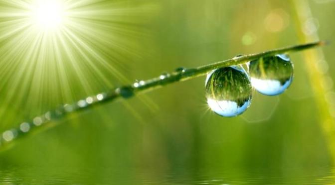 Vượt lên tới tầng giải thoát