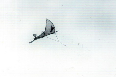 saodieu_Cánh diều mang theo những ước mơ và khát khao của người dân Đại Trà về một mùa bội thu.