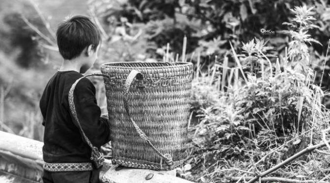 Cuộc đời bố Bits