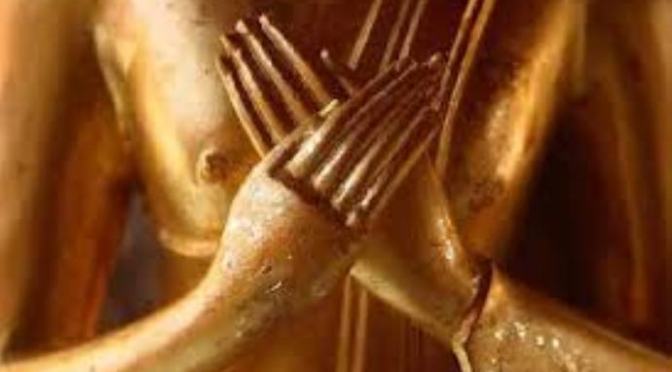 Tâm không phân biệt