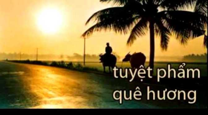 Tân Nhạc Việt Nam – Nhạc Quê Hương