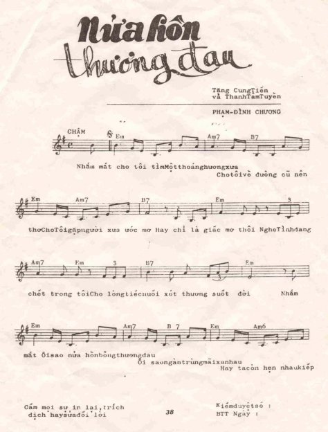 phamdinhchuong_Nửa Hồn Thương Đau1