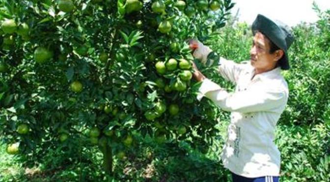 Không mắc cỡ khi hỏi