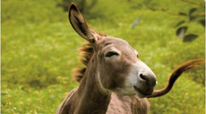 Mọi sự đều rạng rỡ và tươi đẹp