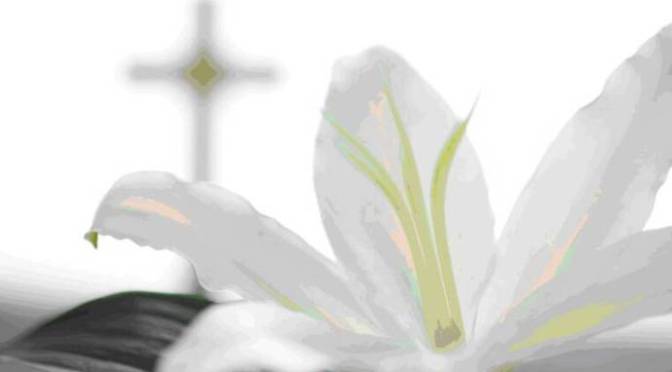 Trôi dạt dòng đời