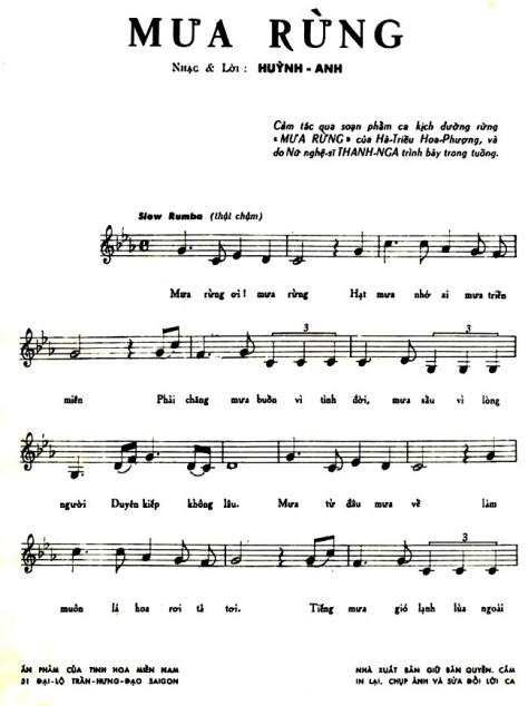 huynhanh_Mưa Rừng2