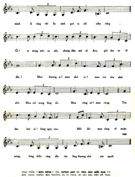 huynhanh_Mưa Rừng3