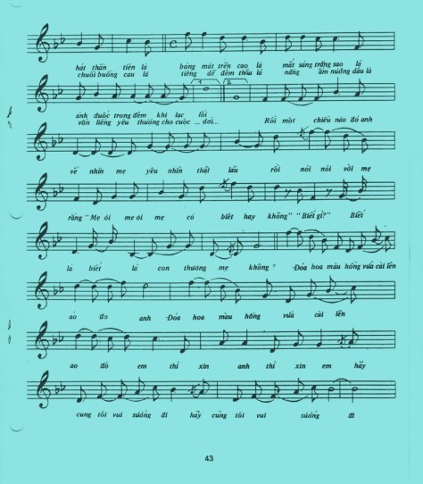 phamthemy_Bông Hồng Cài Áo2