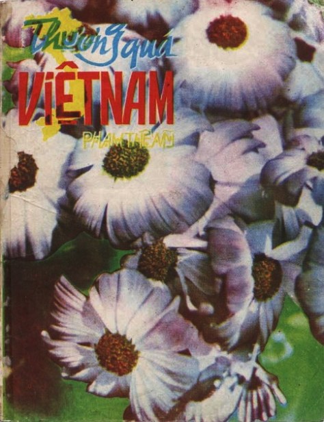 phamthemy_Thương Quá Việt Nam