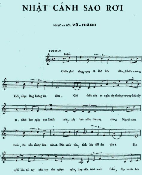 vuthanh_Nhặt Cánh Sao Rơi1