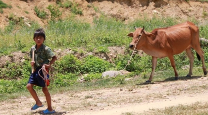 Tâm không phân biệt