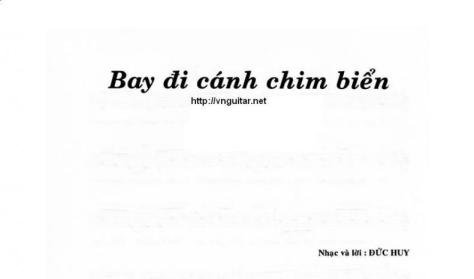 duchuy_Bay Đi Cánh Chim Biển1