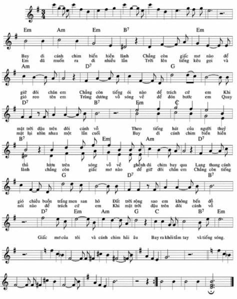 duchuy_Bay Đi Cánh Chim Biển2