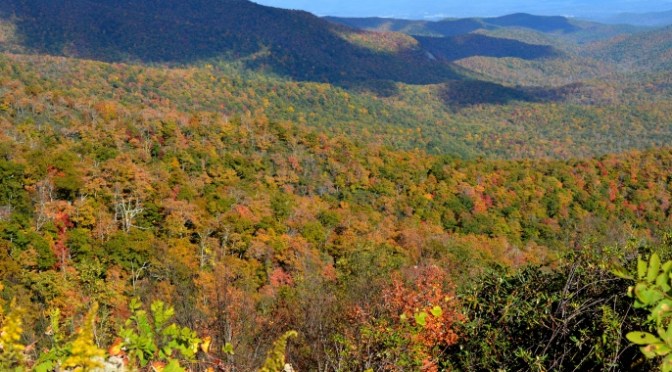 Sắc Thu trên dãy Appalachian 2015