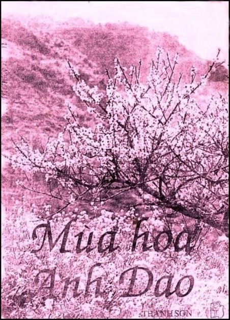 thanhson_Mùa Hoa Anh Đào1