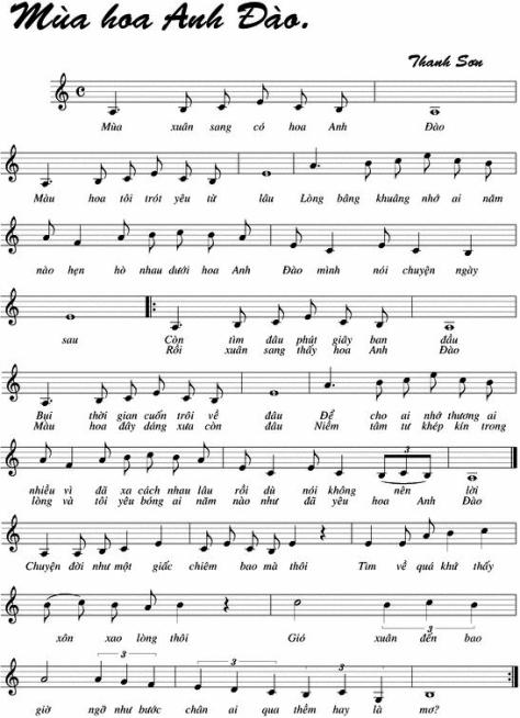 thanhson_Mùa Hoa Anh Đào2