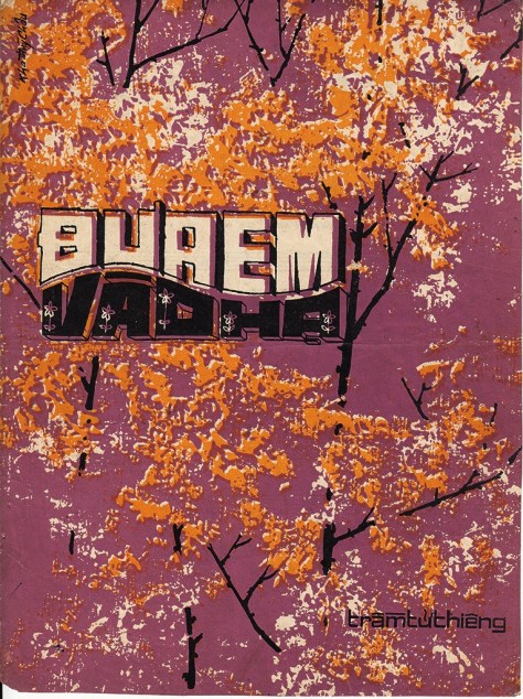 tramtuthieng_Đưa Em Vào Hạ1