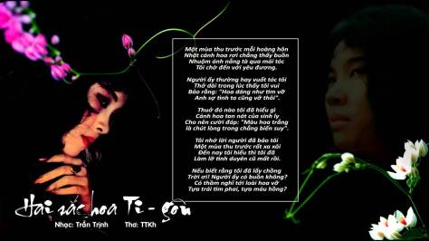 trantrinh_Hai Sắc Hoa Tigôn