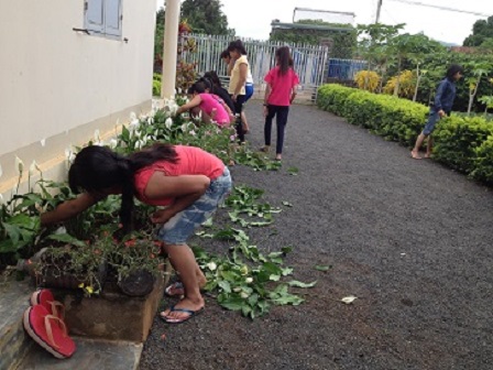 2/ Ảnh các em chăm sóc giàn hoa treo trước nhà Lưu trú.