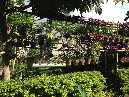 Ảnh mặt trước của khu vườn