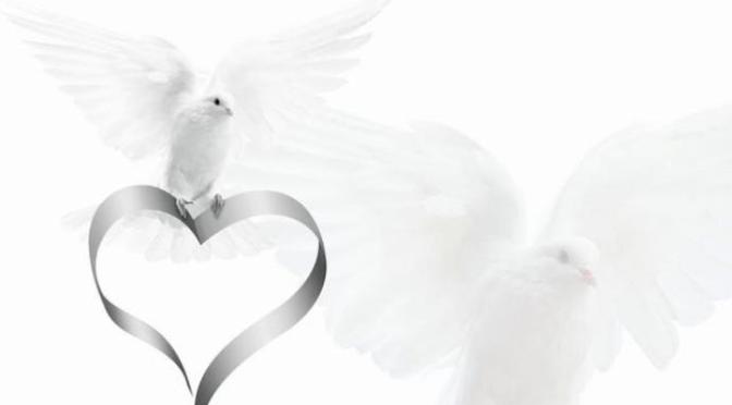 A Pure heart – Trái tim tinh khiết